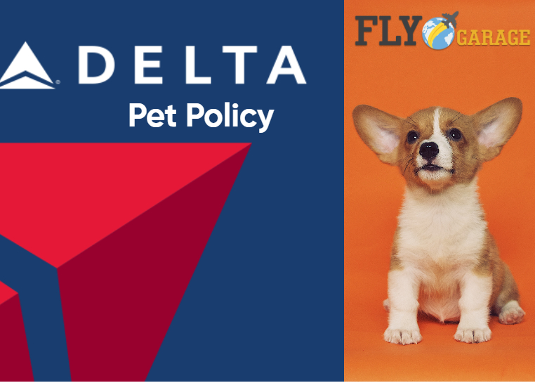 Delta Airlines Pet Policy